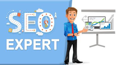 The Role of an SEO Expert in Kerala: Boosting Digital Success