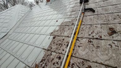 Roof Cleaning