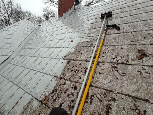 Roof Cleaning